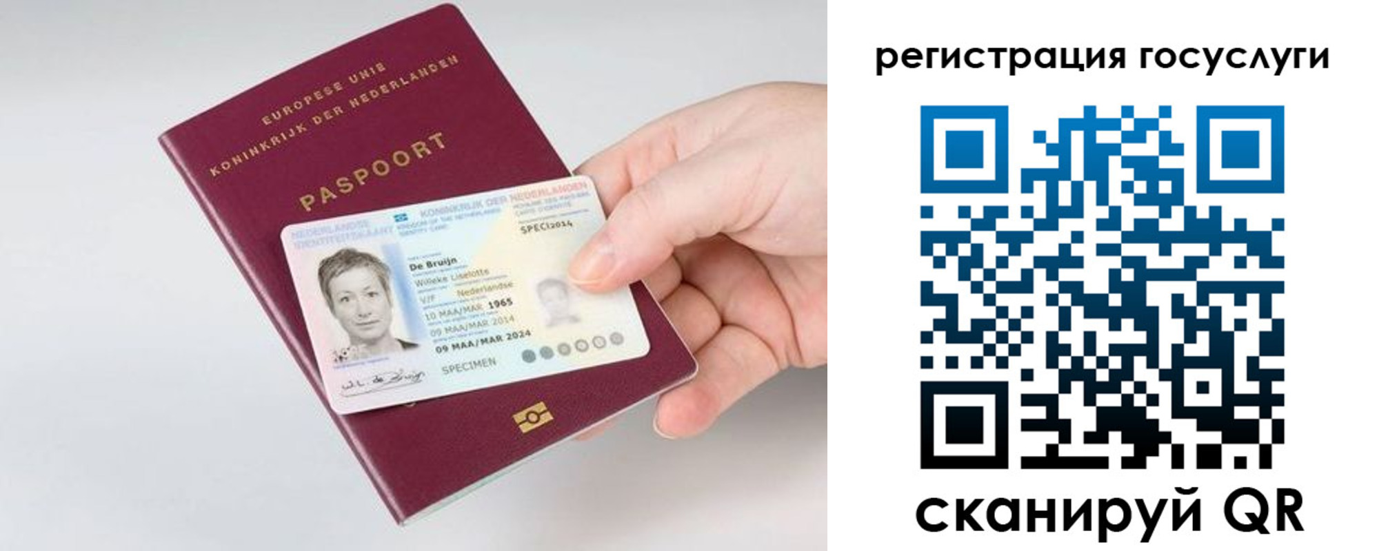 регистрация для дет. сада в Котласе